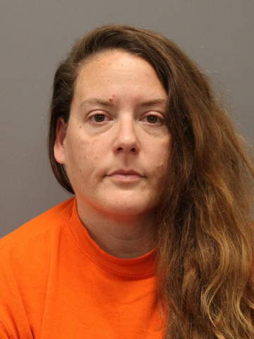 Mugshot of ELIZABETH KALLESTAD