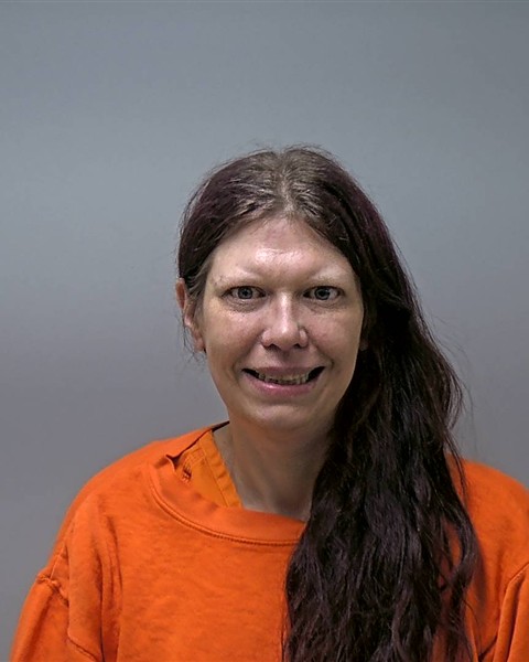 Mugshot of ERIN G LEWIS