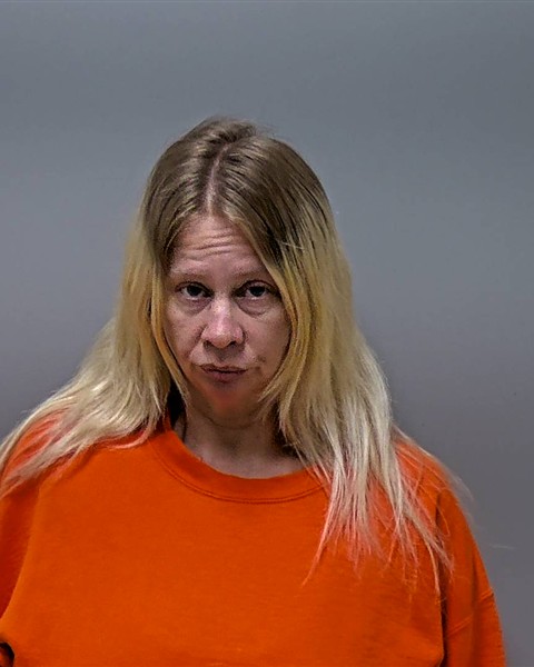 Mugshot of SHAUNA R DOKKEN
