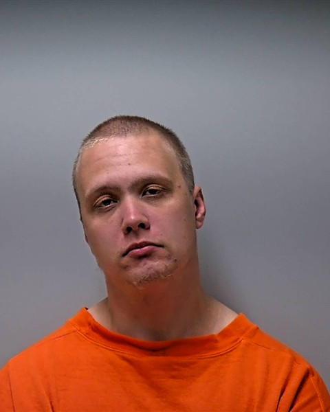 Mugshot of LAVIAN B OLSON
