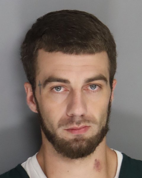 Mugshot of TYLER MELTON