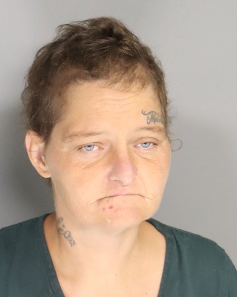 Mugshot of LINDA BUTLER