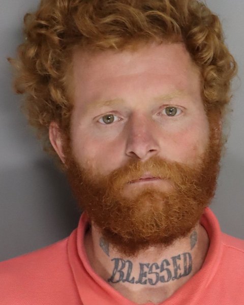 Mugshot of MATTHEW FIELDS
