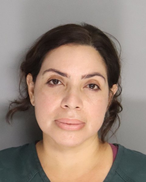 Mugshot of DORELYS ALVARADO NUNEZ