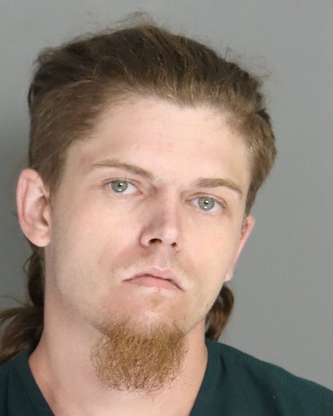 Mugshot of DEVIN JONES