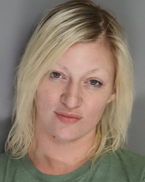 Mugshot of VICTORIA CSIKANY
