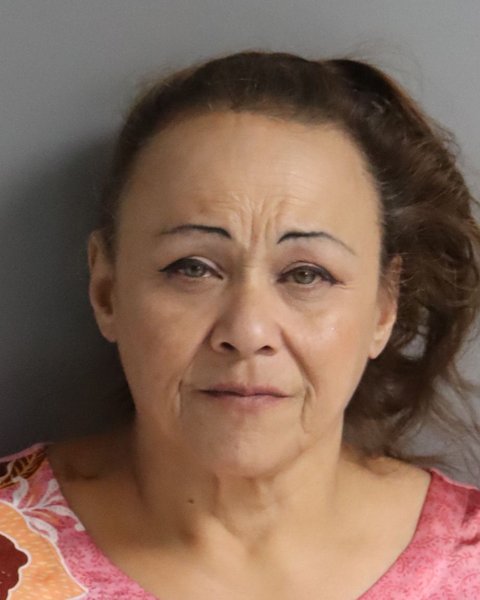 Mugshot of NANCY BRITO GUEVARA