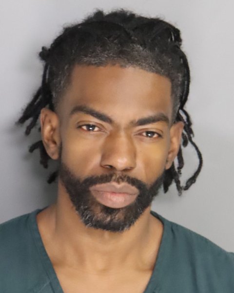 Mugshot of PATRICK WEST