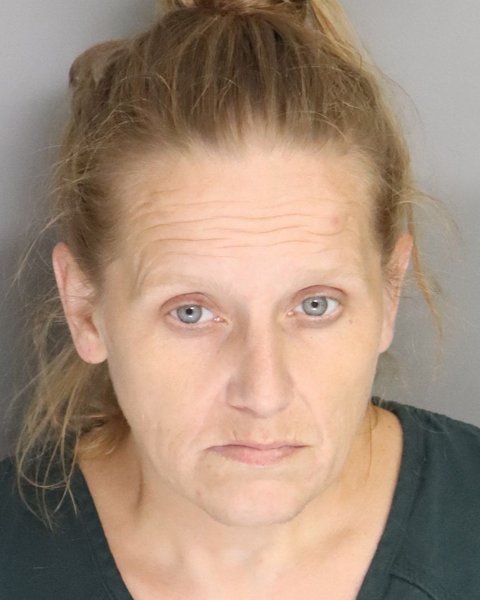 Mugshot of CLAUDIA RISEDEN