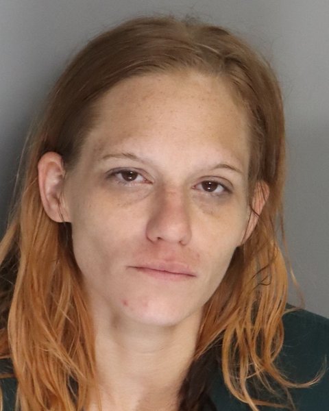 Mugshot of APRIL DYCHES