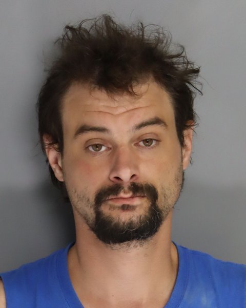 Mugshot of ANTHONY RIENZO
