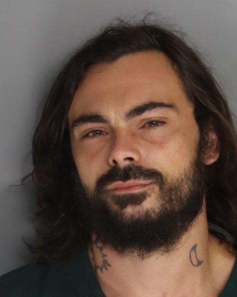 Mugshot of ROBERT SNELLINGS