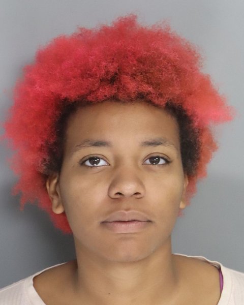 Mugshot of ALANA LEWIS