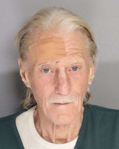 Mugshot of ROBERT HAMM