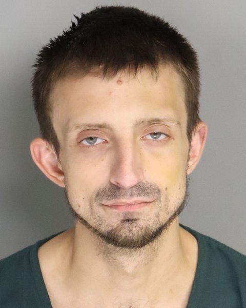 Mugshot of DUSTIN CHEEKS