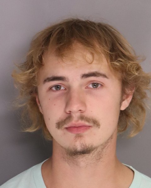 Mugshot of DYLAN FARMER