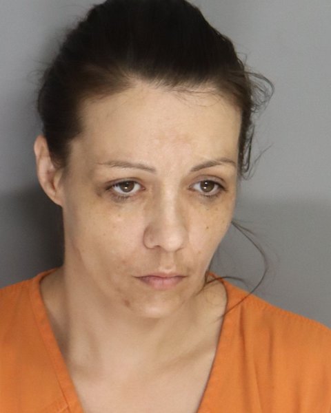 Mugshot of JESSICA LEVER