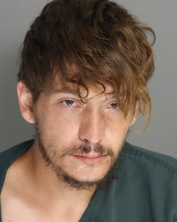 Mugshot of MICHAEL SANDERS