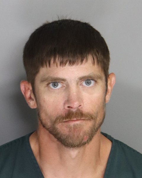 Mugshot of MARK FAIR