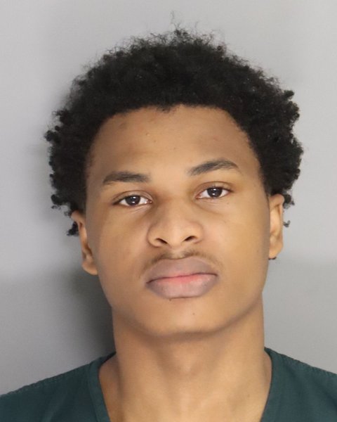 Mugshot of DAVIS BROWN