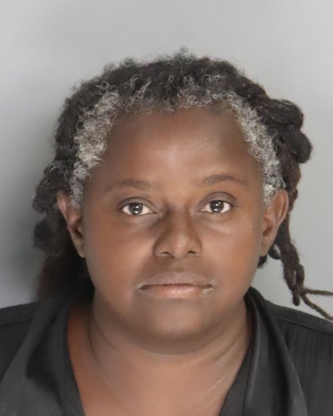 Mugshot of TAMEKA RYANS