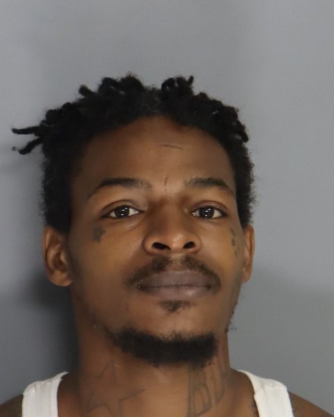 Mugshot of TERRY SIMMS