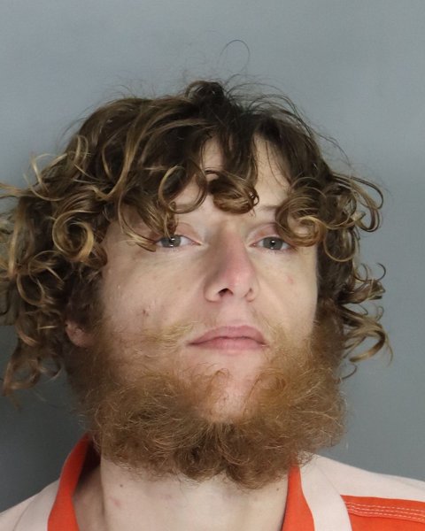Mugshot of TONY ADAMSON
