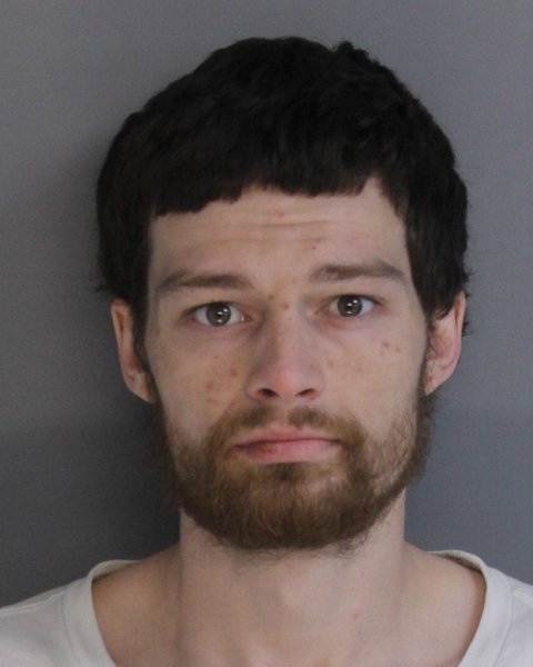 Mugshot of BRANDON REESE