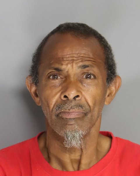 Mugshot of CAROL LEE