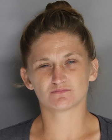 Mugshot of PRISCILLA ANDERSON