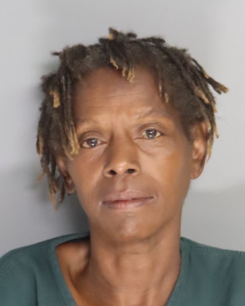 Mugshot of SARAH VALENTINE