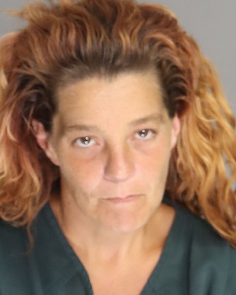 Mugshot of CHRISTINA REED