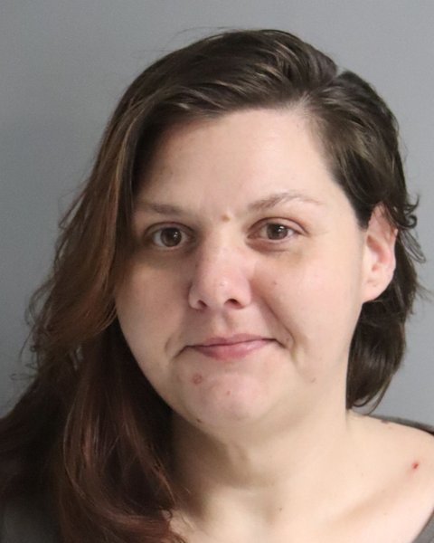 Mugshot of TERI DIFRANCO