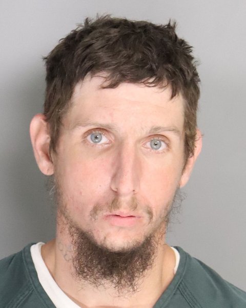 Mugshot of TANNER HALLMAN