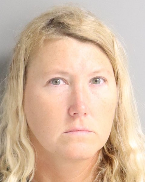 Mugshot of DONNA BOATWRIGHT
