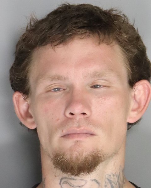 Mugshot of VINCENT DELONG