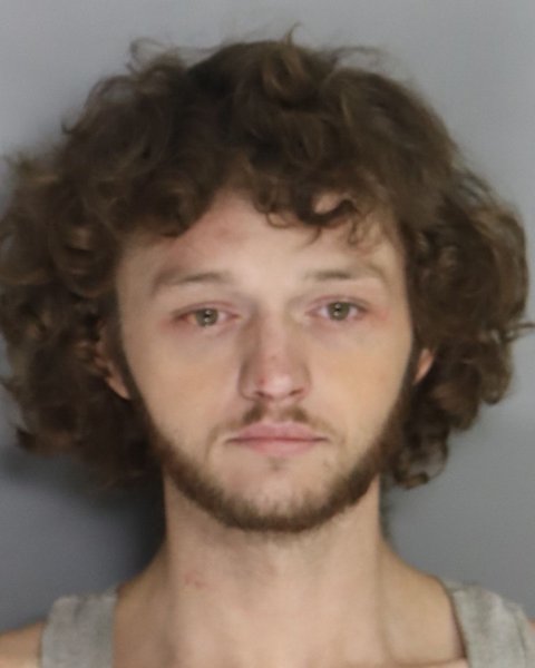 Mugshot of DEVIN GOOD