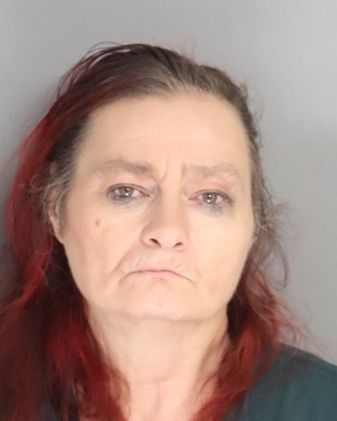 Mugshot of TONYA MIKELL