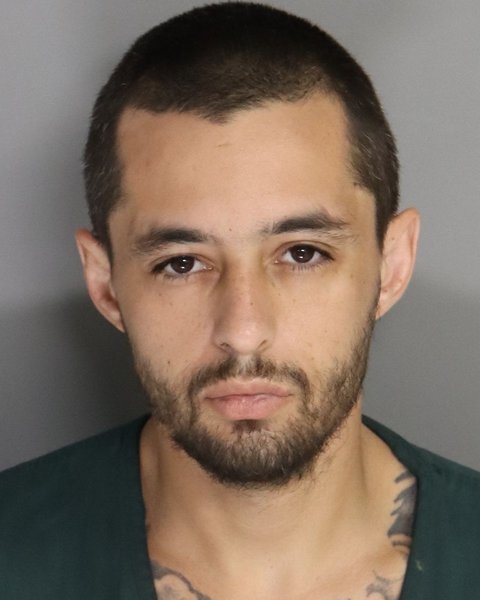 Mugshot of WILLIAM PRICE