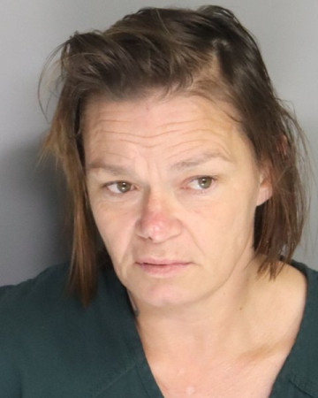 Mugshot of JAMIE LOWER