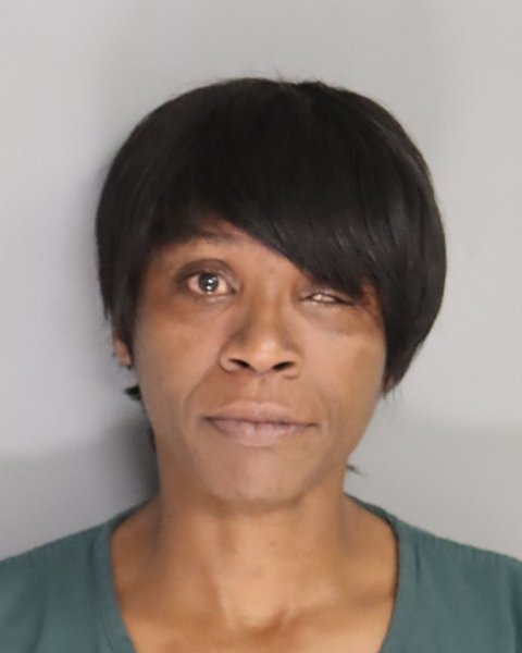 Mugshot of ERICA RICHARDSON