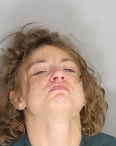 Mugshot of LENA BROWN