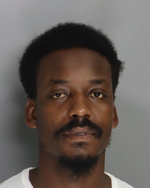 Mugshot of WILLIE FERGUSON