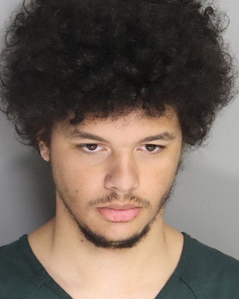 Mugshot of KINGSTON HARMON