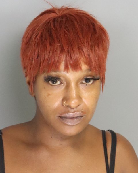 Mugshot of TYRA KITCHINGS