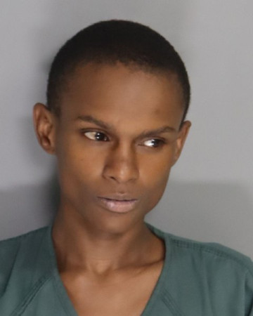 Mugshot of JAMESA ISLAR