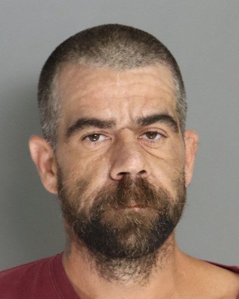 Mugshot of GREGG WALL