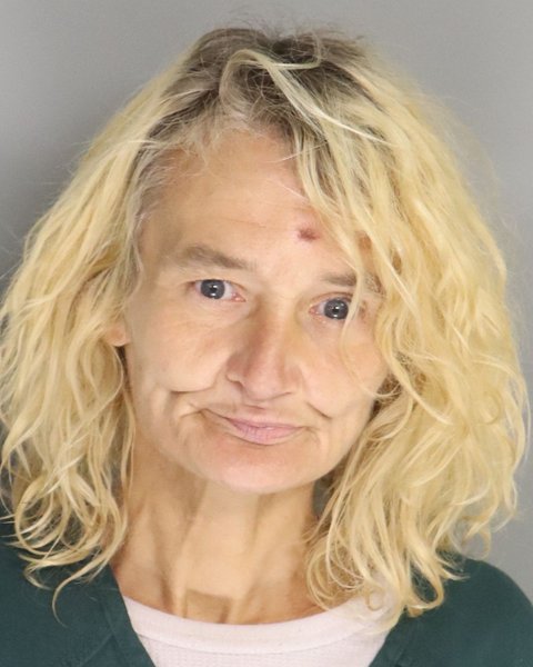 Mugshot of CANDY MORRIS