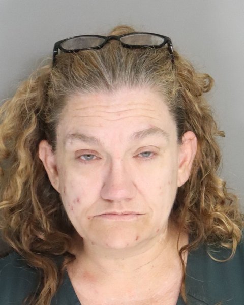 Mugshot of NANCY RICHARDSON