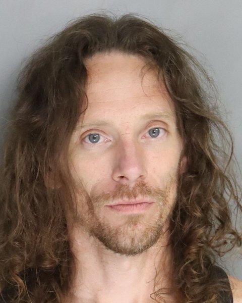 Mugshot of CHRISTOPHER BOURGOIN